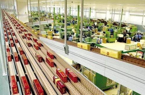 高考倒計(jì)時(shí)50天，揭秘那些冷門但潛力無限的“技術(shù)+服務(wù)”專業(yè)